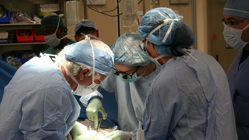 “Giovane donna di Monserrato muore prima del trapianto: troppo tardi”