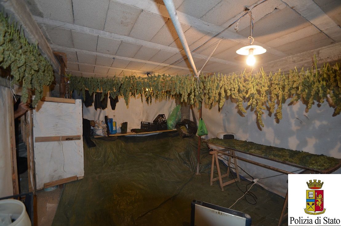 Scoperta una piantagione di marijuana: in manette un ogliastrino