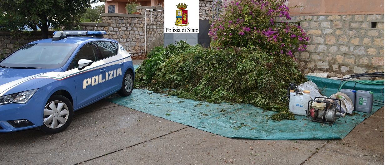 Maxi piantagione di cannabis a Bitti: i “coltivatori” sono due fratelli