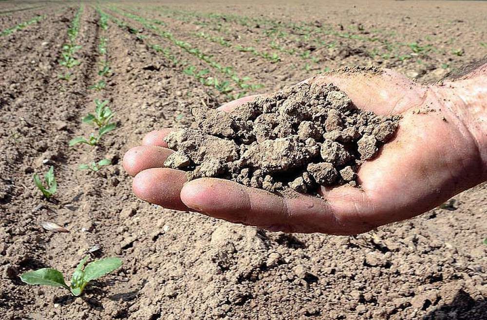 Siccità, con 14 milioni di metri cubi è allarme nei bacini della Nurra
