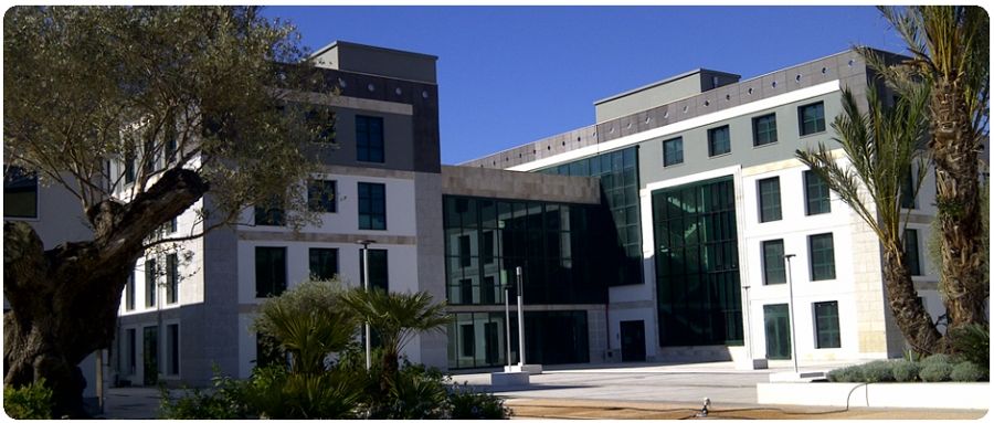 Nasce a Cagliari la prima scuola di videogiochi e cartoni animati