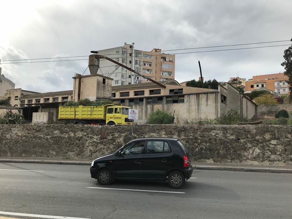 Il regista Enrico Pau: “A Cagliari alberi sani tagliati per le giostre che battono la bellezza”