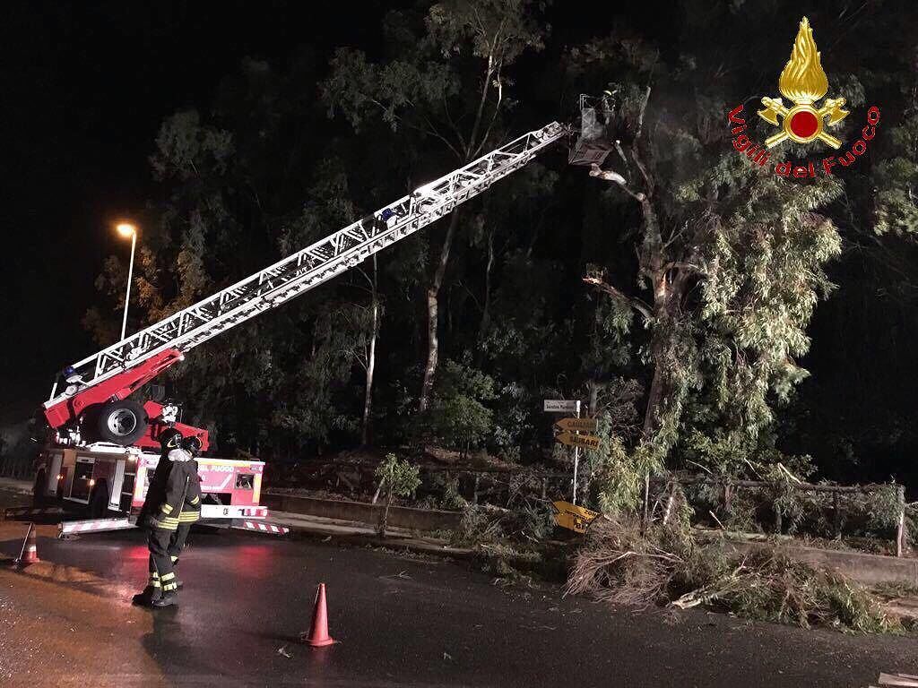 Nuoro, il forte vento abbatte alberi e insegne: intervengono i vigili del fuoco