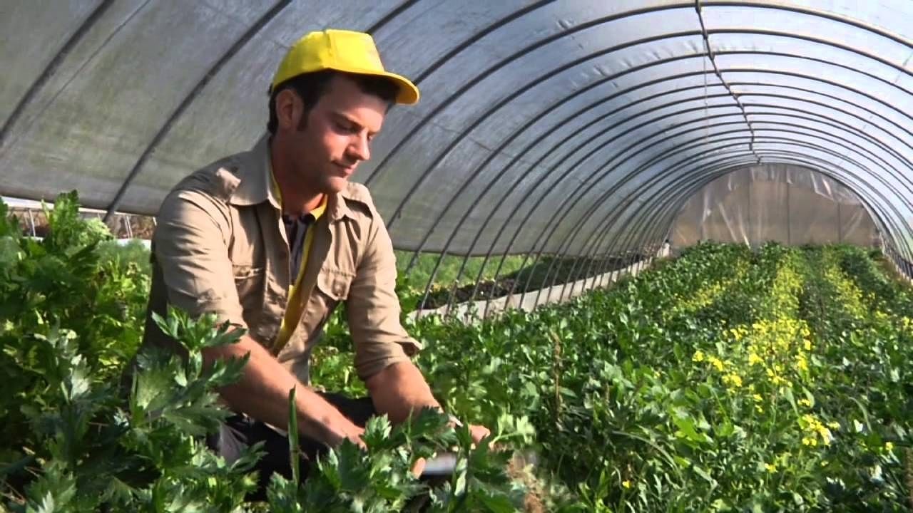 Sardegna, terre ai giovani ad affitti agevolati: così si può creare un lavoro