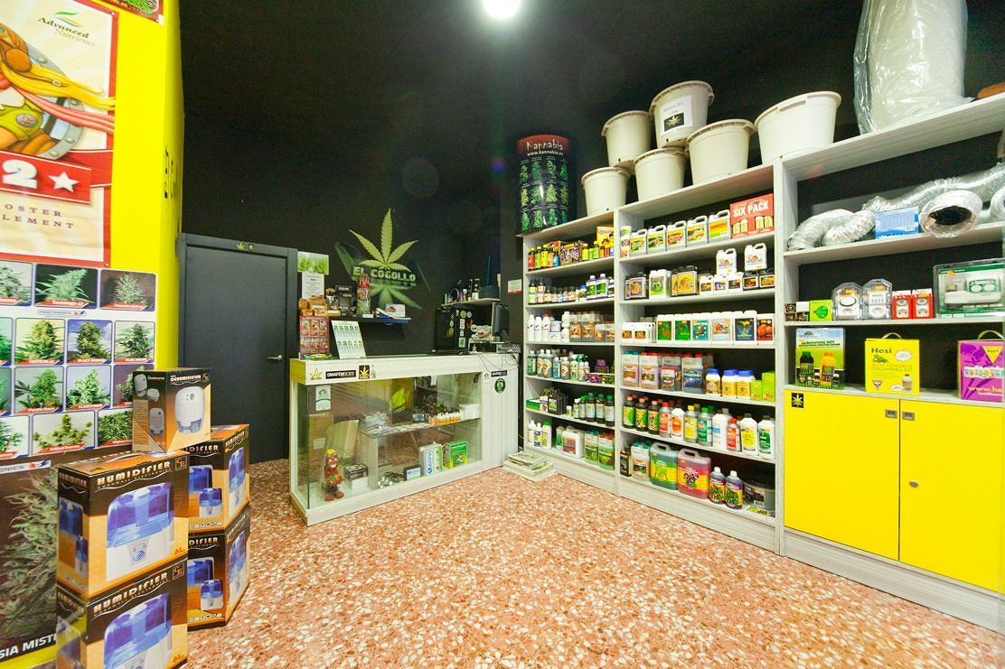“Cannabusiness”, in Sardegna aperti 15 negozi