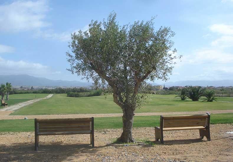 Forte vento a Selargius, chiusi i parchi cittadini