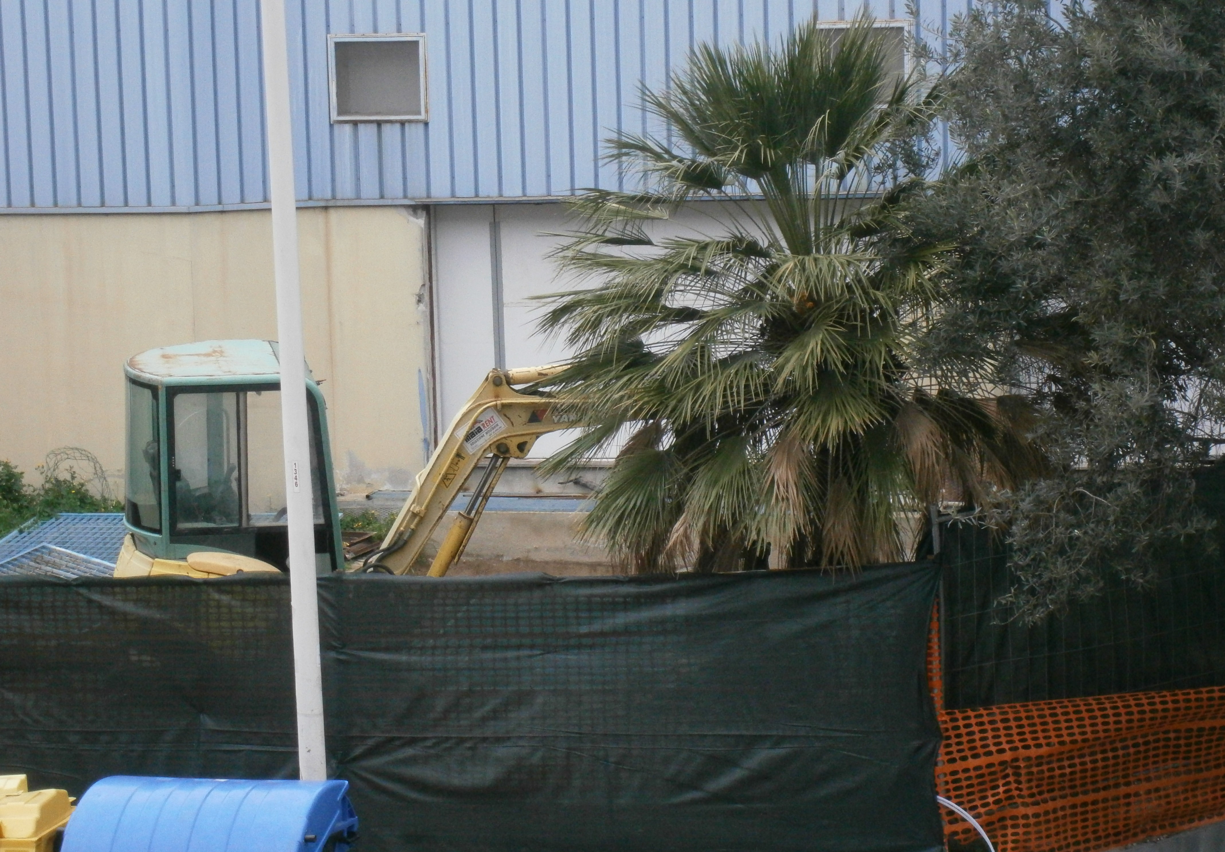 Cagliari, ruspe in azione nell’oasi felina di via Pantelleria: “Fermiamoli”