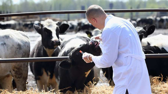 Prestazioni veterinarie, Manca: “La Giunta annulli il nuovo tariffario”