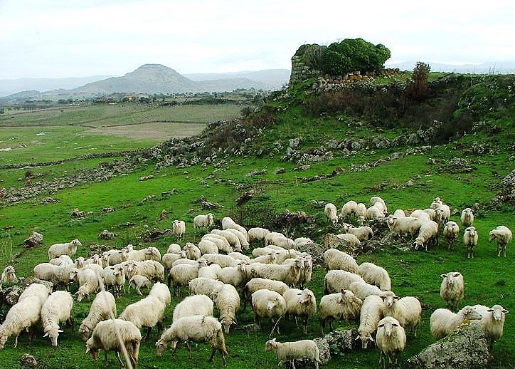 Unesco, la transumanza candidata patrimonio dell’umanità