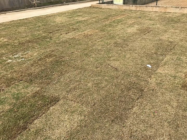 Cagliari, via Oslo: “L’area verde? Dopo un mese è ingiallita”