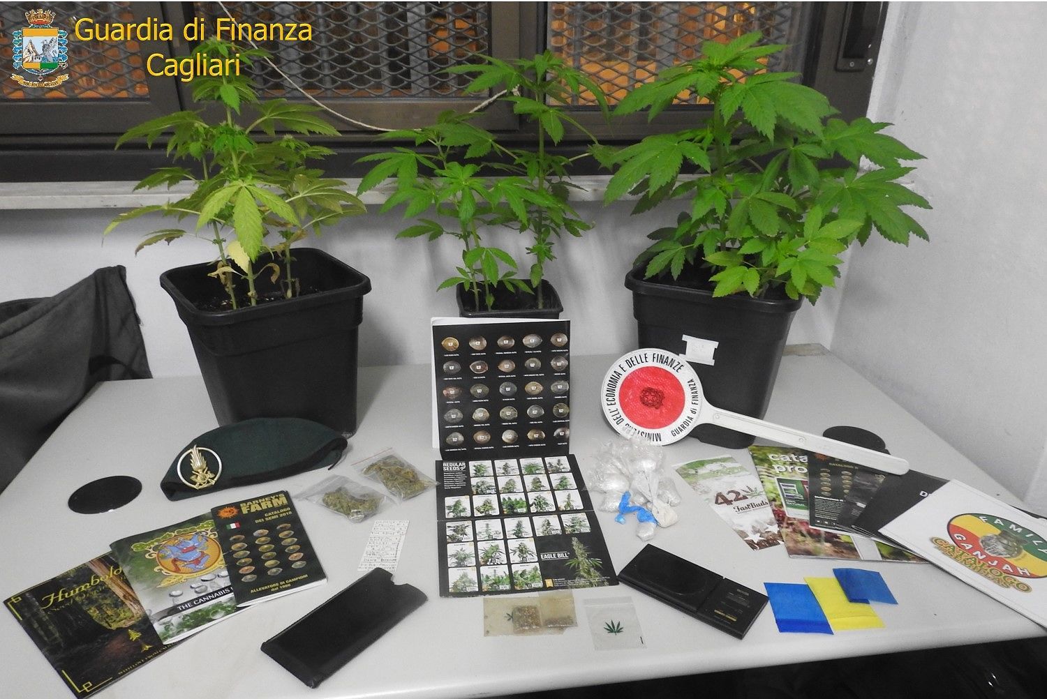 Cagliari, operazione anti droga della Finanza: spinelli e denunce nelle strade della movida