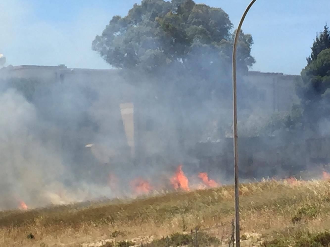 Monserrato, lotta agli incendi: sfalcio di erba, piante e sterpaglie entro il 1 giugno