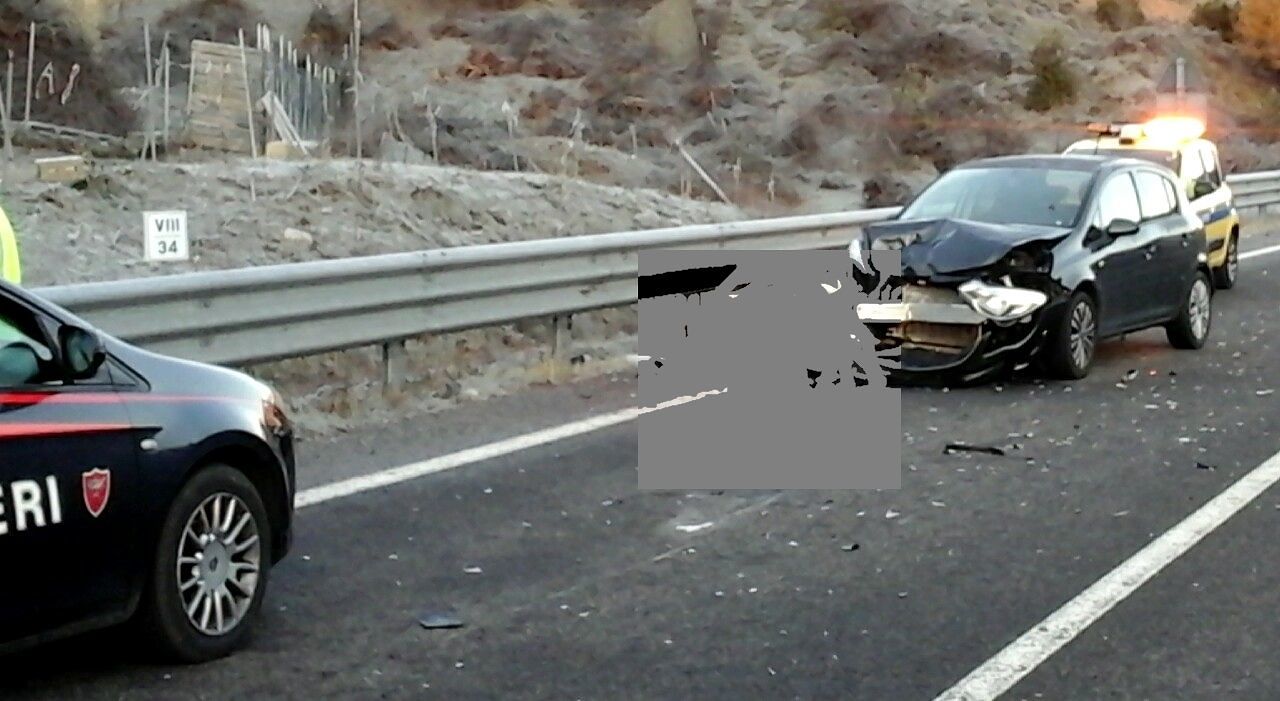 Sardegna, ancora animali vaganti sulla Ss389: furgone investe un puledrino