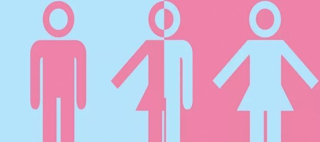Austria, la Corte costituzionale ammette il terzo sesso sui documenti:”Diritto all’identità di genere individuale”