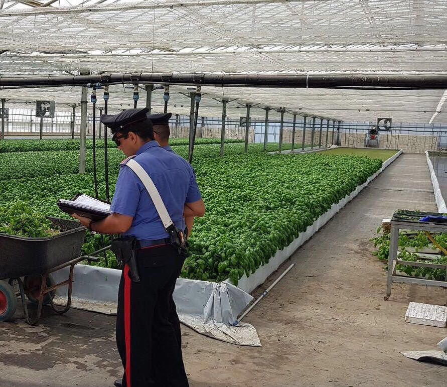 Decimoputzu, scoperti sei lavoratori in nero in un’azienda agricola