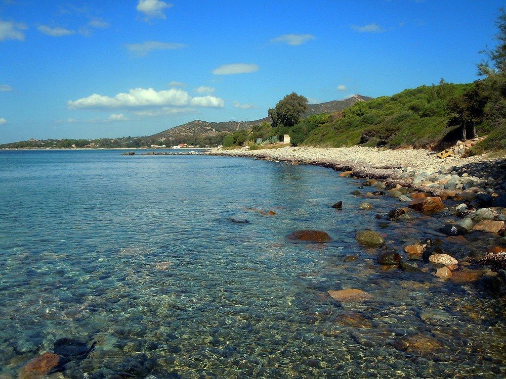 Pulci in spiaggia a Quartu: domani parte la disinfestazione urgente