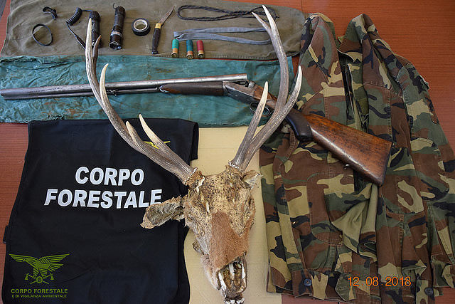 Villaspeciosa, preso il bracconiere: in casa con la testa di un cervo come trofeo