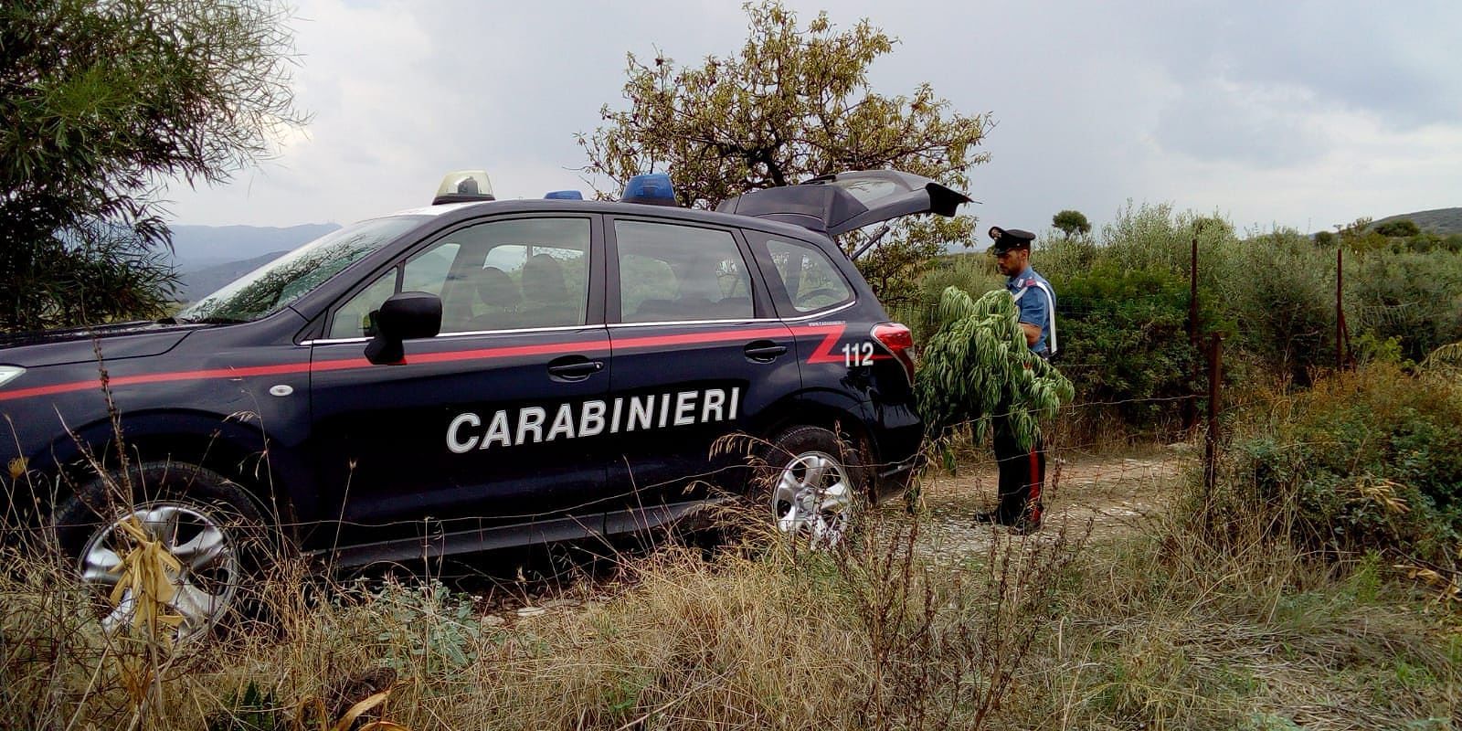 Una “serra di fumo” artigianale a S.Isidoro: 55enne arrestato dai carabinieri