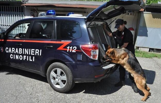 Gergei, trenta grammi di marijuana nel cortile di casa: nei guai 20enne