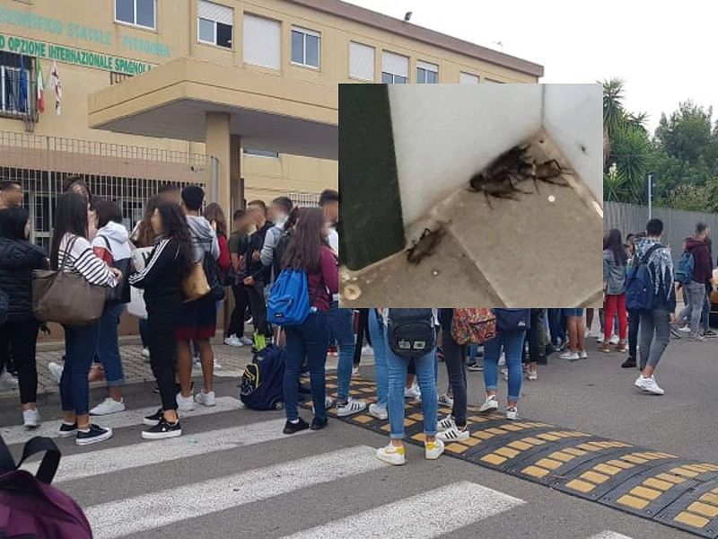 Selargius, la rabbia degli studenti dello scientifico: “Aule e corridoi invase da blatte e formiche”