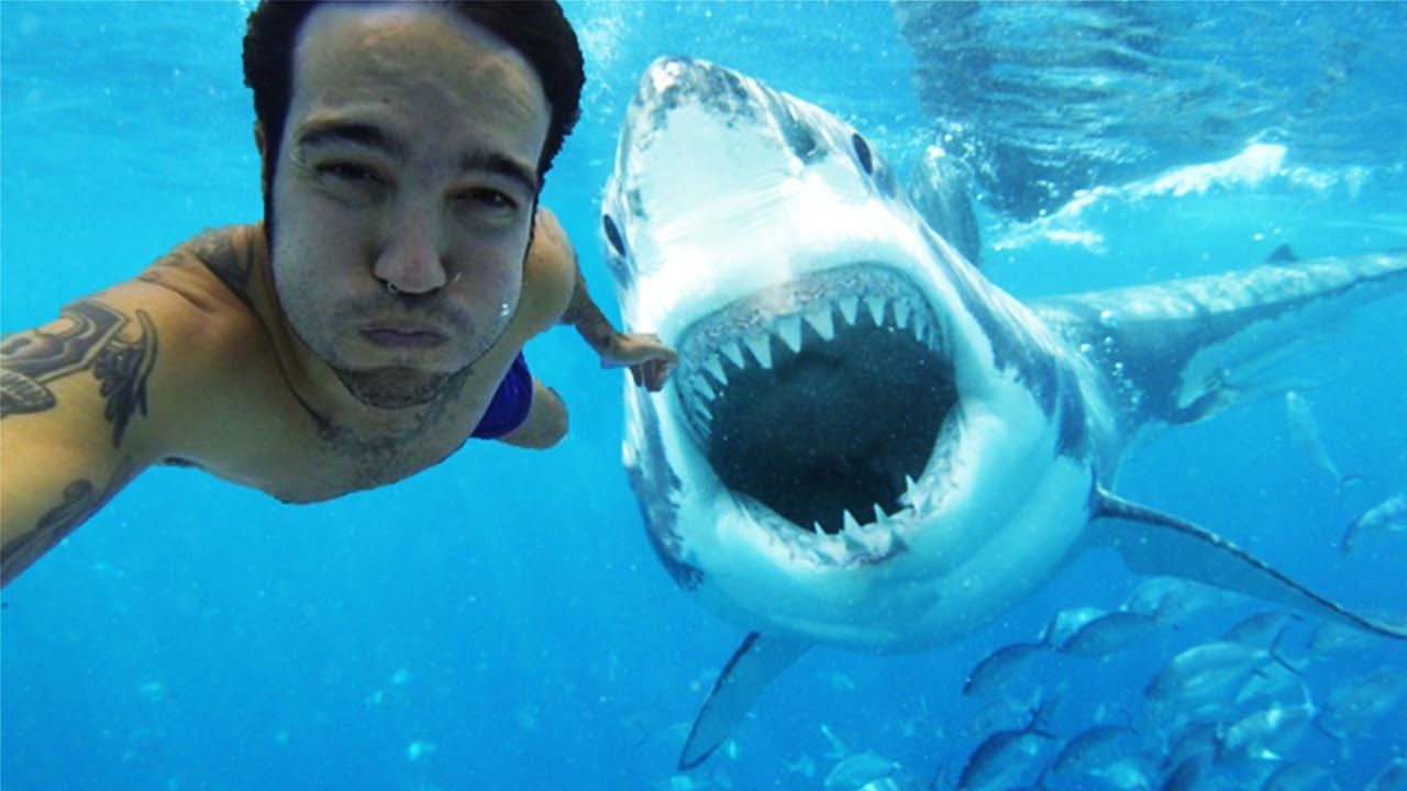 Allarme selficidi nel mondo: c’è chi muore per un selfie, anche accanto a grossi squali