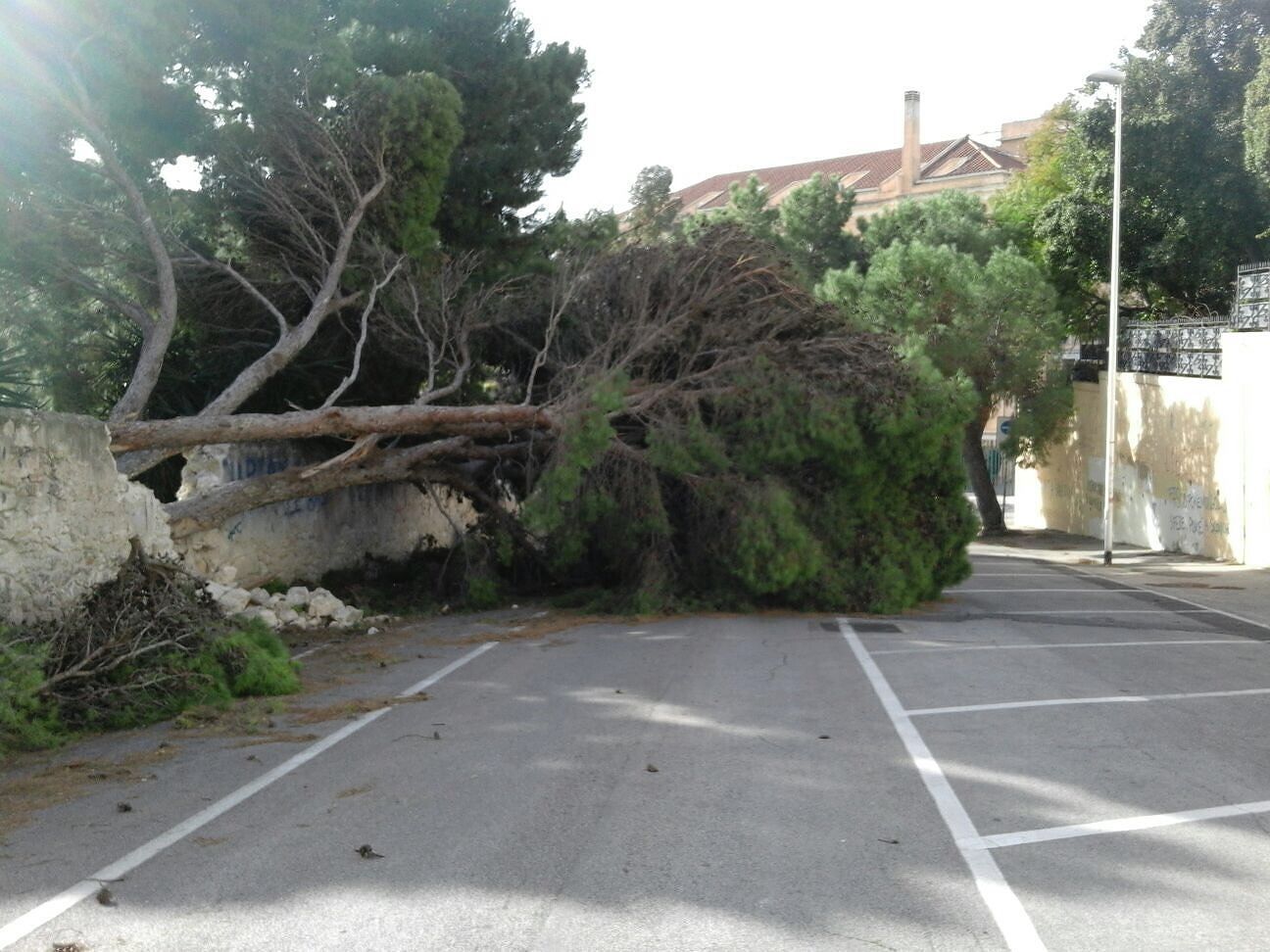 Allerta maltempo, bufera in arrivo a Cagliari: chiusi tutti i parchi cittadini
