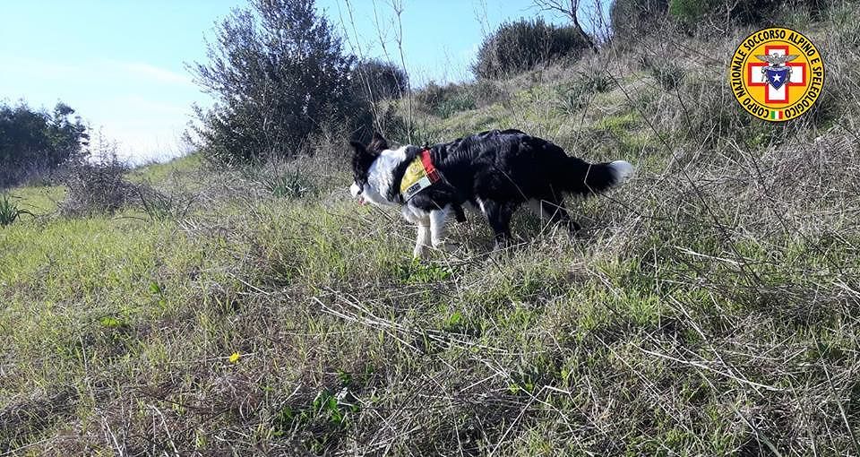 Gonnoscodina, anziano scomparso da due giorni: ricerche a tappeto