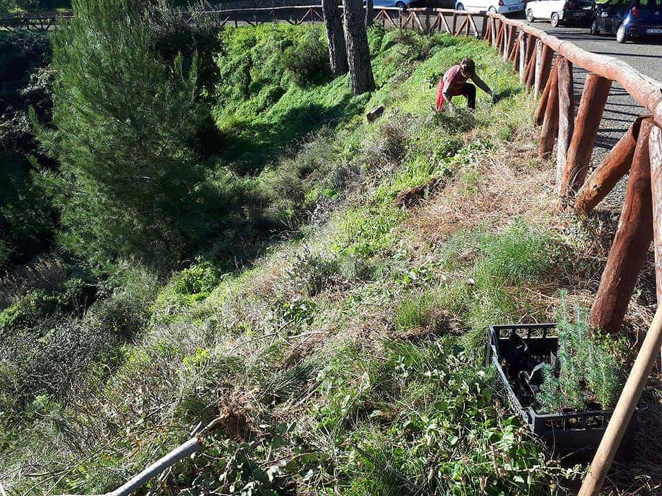 Sa cricca dei su Cumpringiu, così a Villacidro per Natale i cittadini piantumano Monte Omu