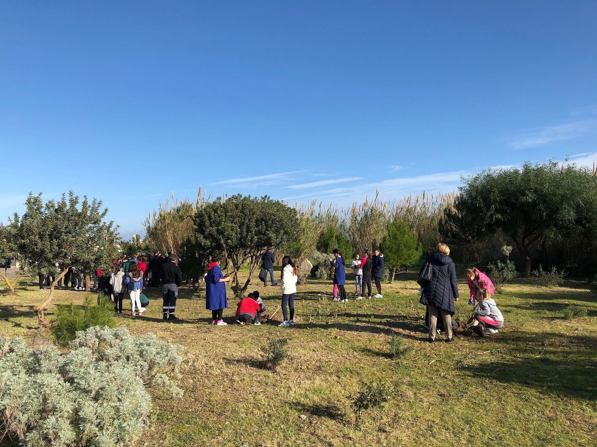 Festa dell’albero a Sant’Antioco, coinvolte le scuole cittadine