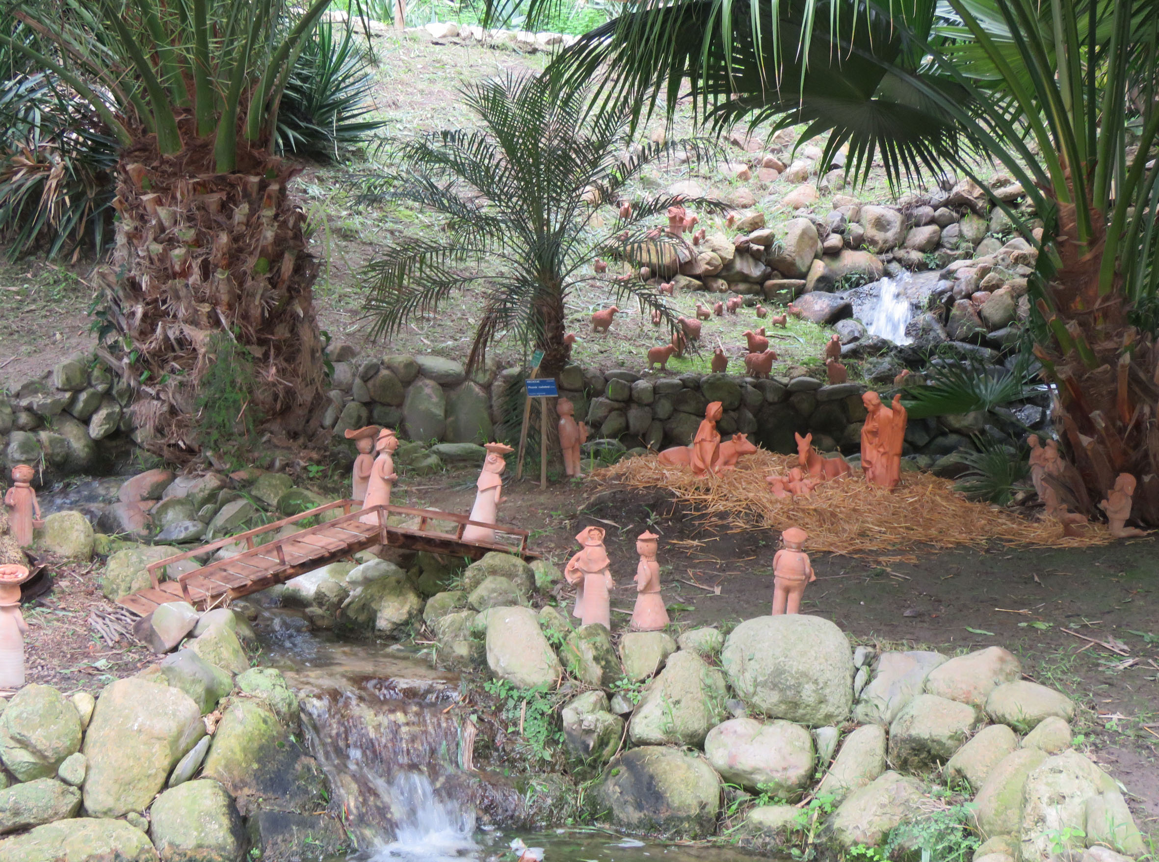 Cagliari, allestito il presepe tra le palme dell’Orto Botanico dell’Ateneo
