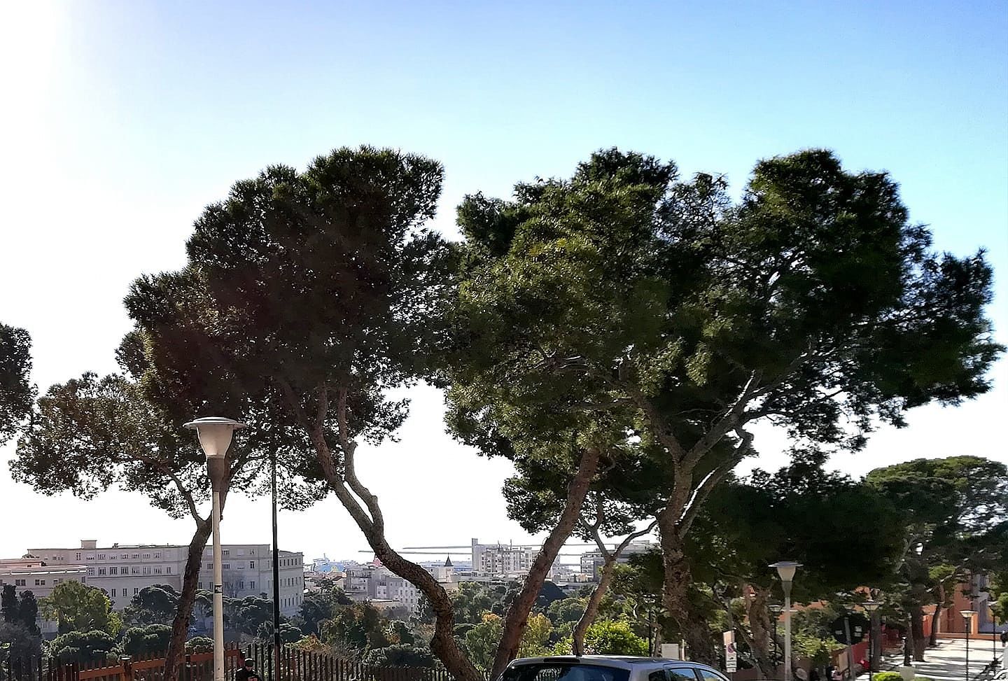 Cagliari fantastica a Natale, 20 gradi: un cielo stupendo e in tanti passeggiano al mare
