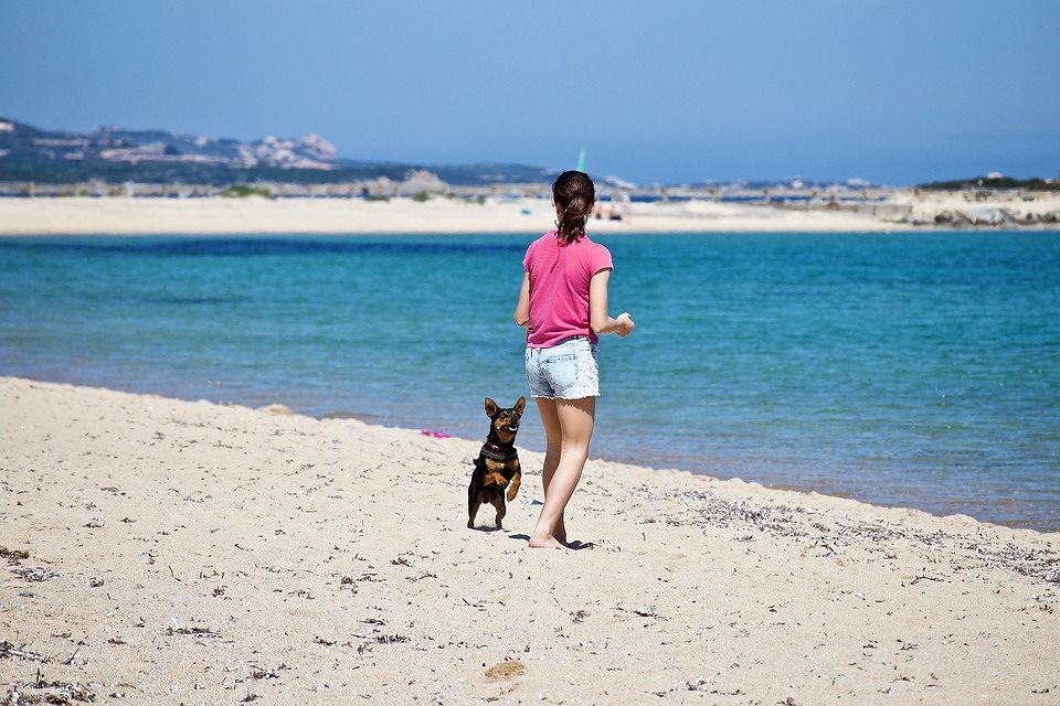 Marzo saluta la Sardegna con uno splendido weekend, sole e 20 gradi anche a Cagliari