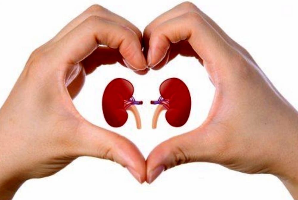 “La Giornata Mondiale del Rene 2019” a Monastir punta su prevenzione e informazione