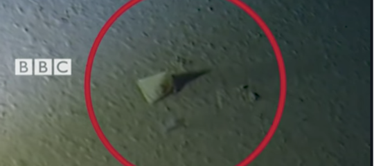 Trovata plastica persino nella Fossa delle Marianne a oltre 10 mila metri di profondità