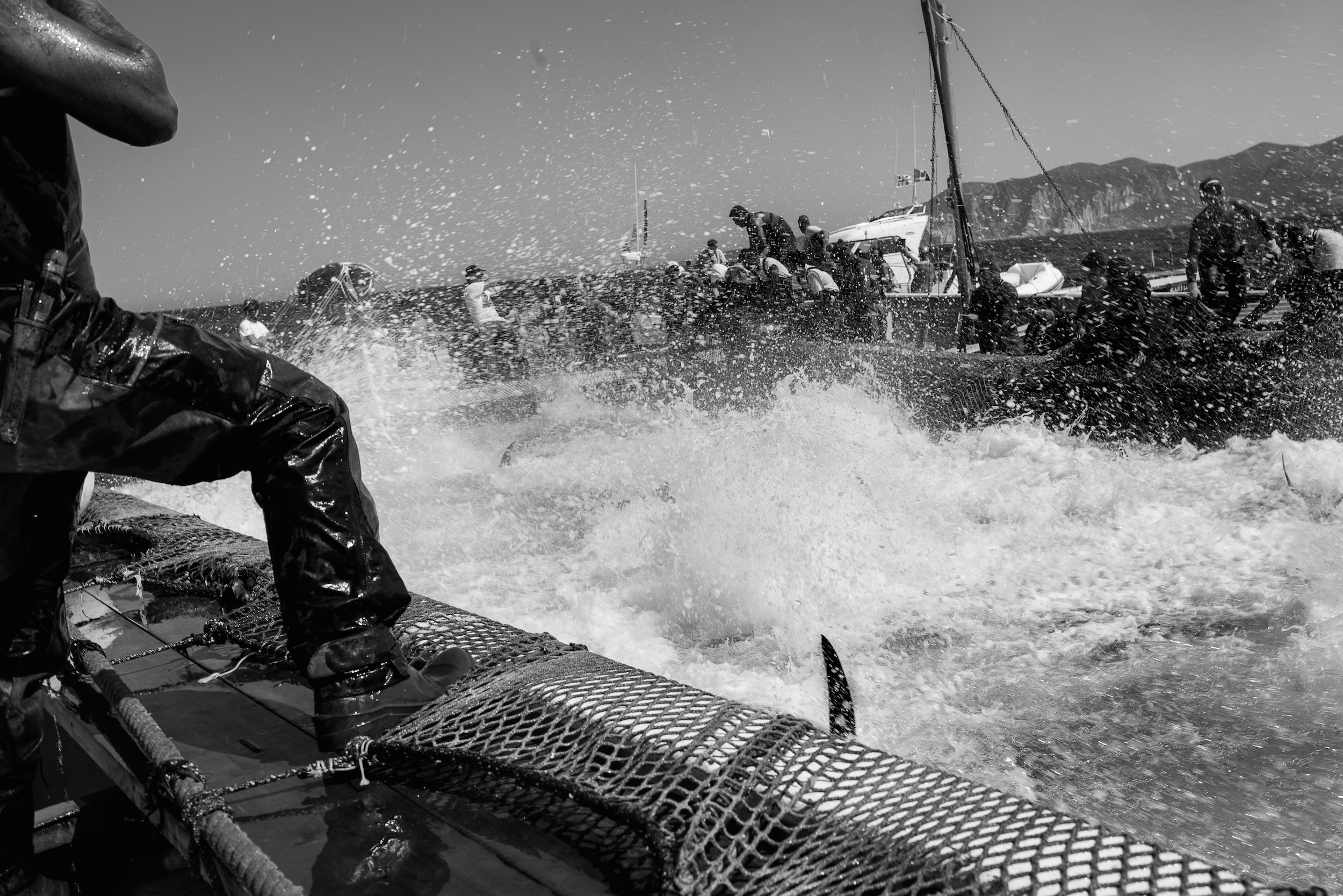 “The Trap: catching the red tuna”. Al Mut la mostra fotografica di Mattia Barbata