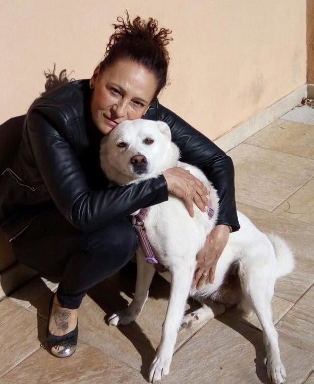 Ladri senza cuore svaligiano il nuovo rifugio per cani a Villamassargia: “Vigliacchi, restituiteci tutto”