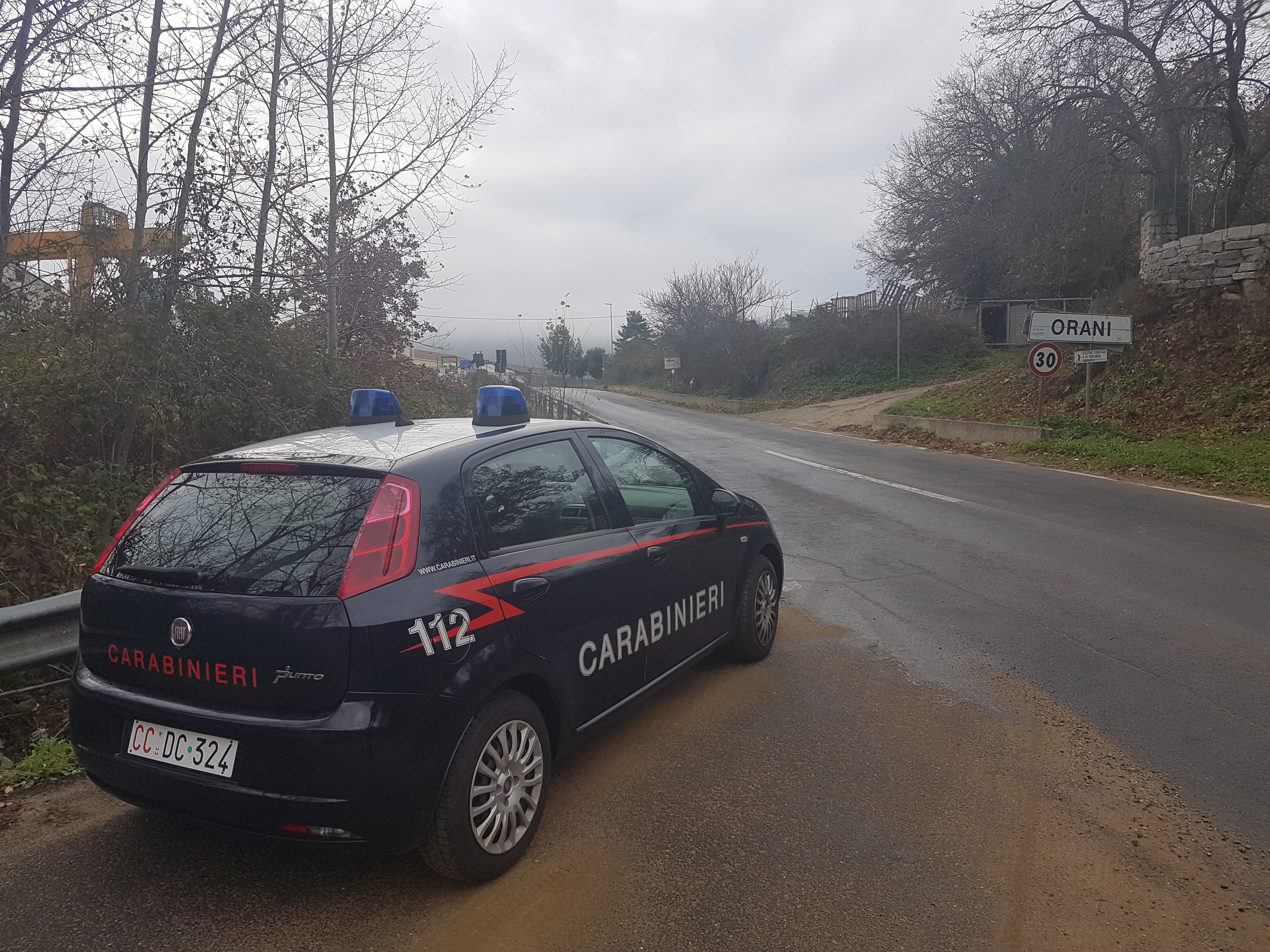 Sette pecore folgorate da un fulmine a Orani