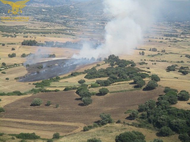 Sardegna, con l’estate inizia anche la stagione degli incendi: due roghi spenti nell’Oristanese