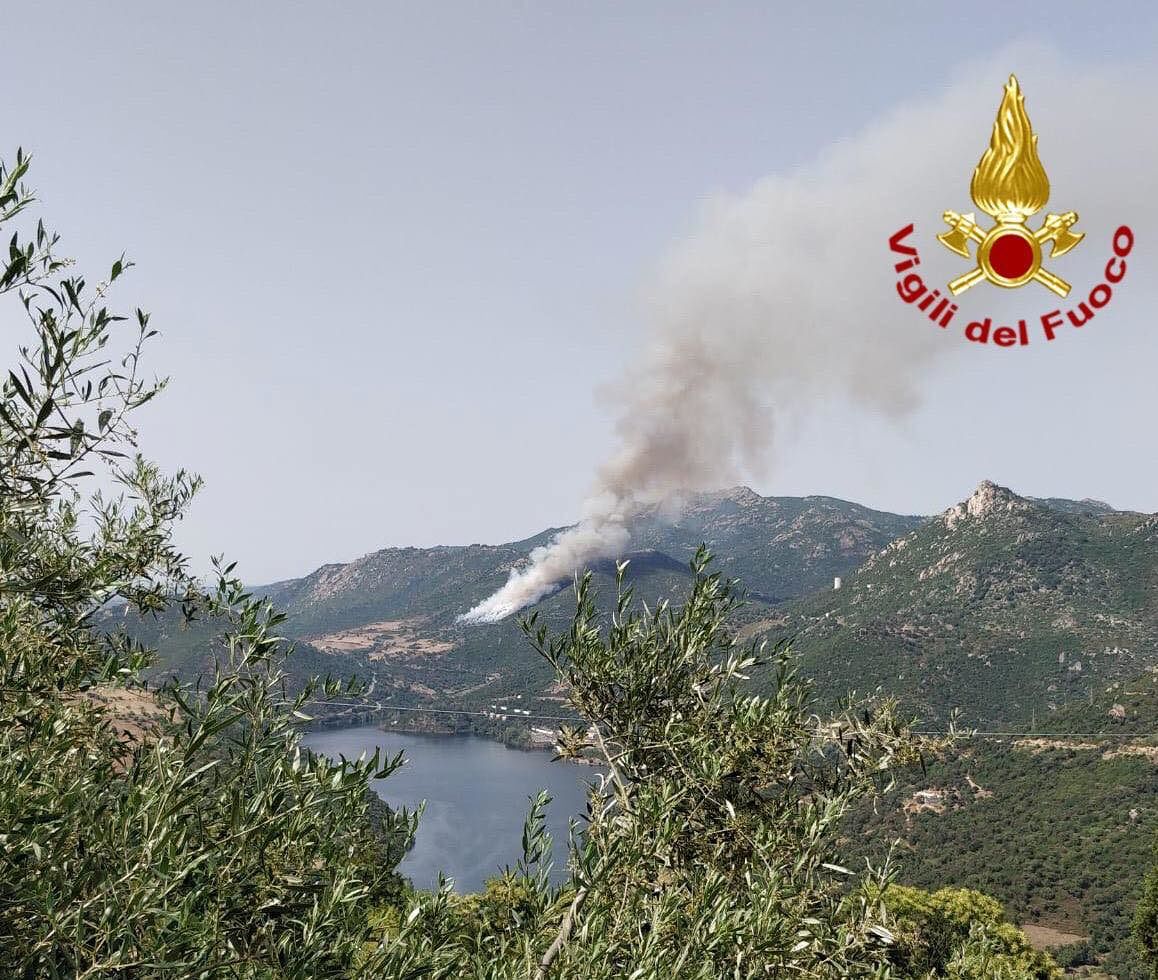 Vasto incendio nelle campagne di Ollollai: tre mezzi aerei in azione per domare le fiamme