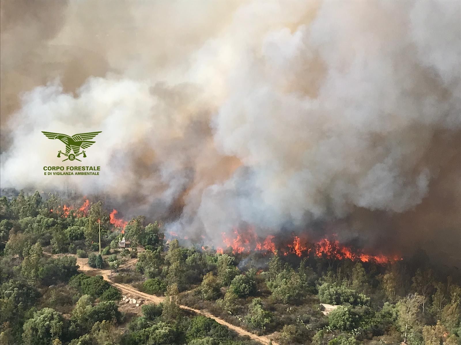 Maxi incendio in spiaggia a Tortolì: evacuati due campeggi e una ventina di abitazioni