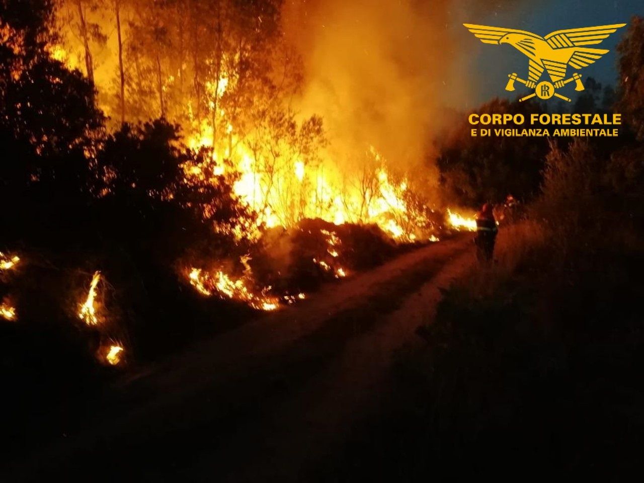 Ancora fiamme a Tortolì, forestali impegnati tutta la notte: decollati tre canadair