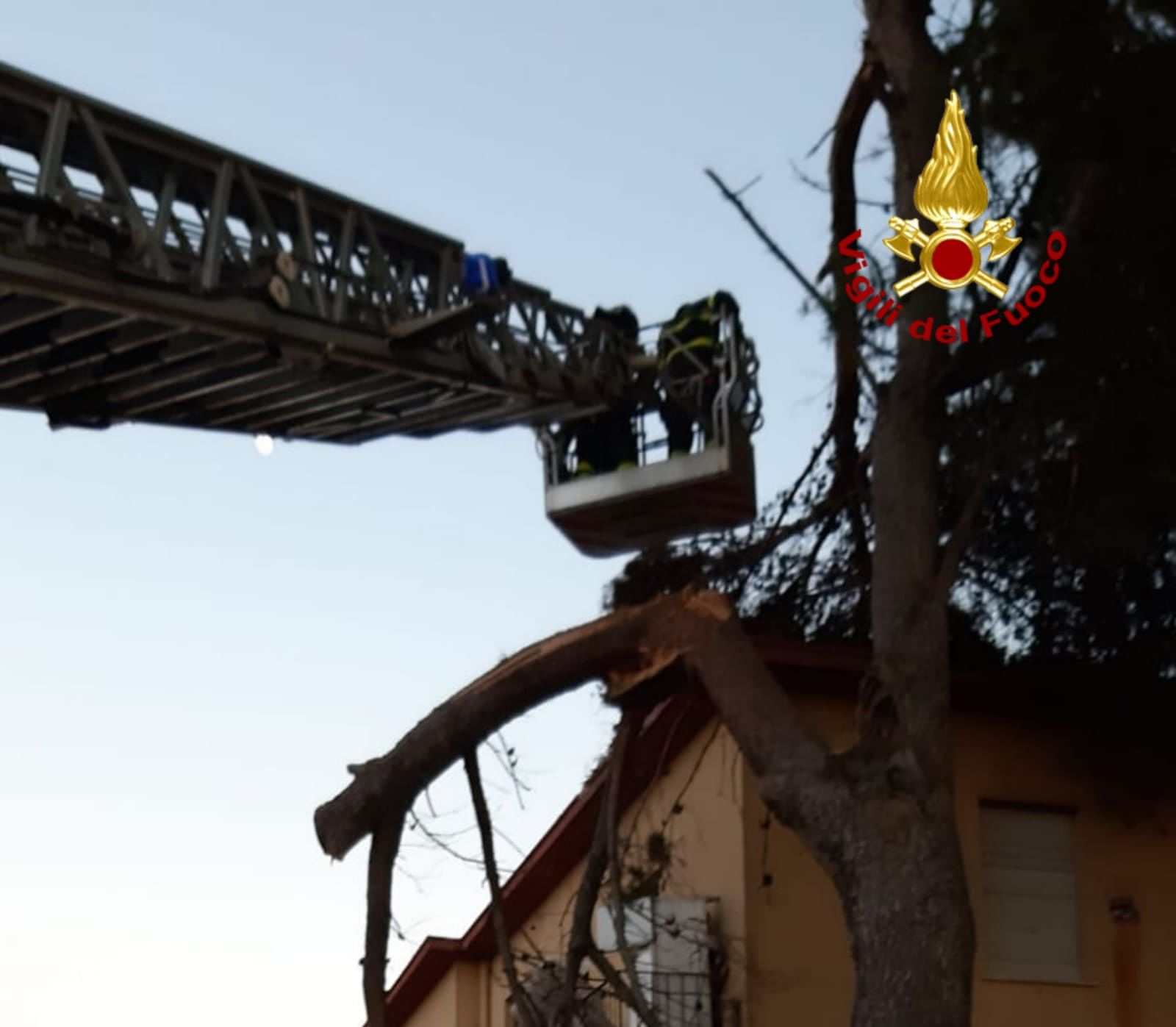Cagliari, un grosso ramo crolla in viale Elmas: intervengono i vigili del fuoco