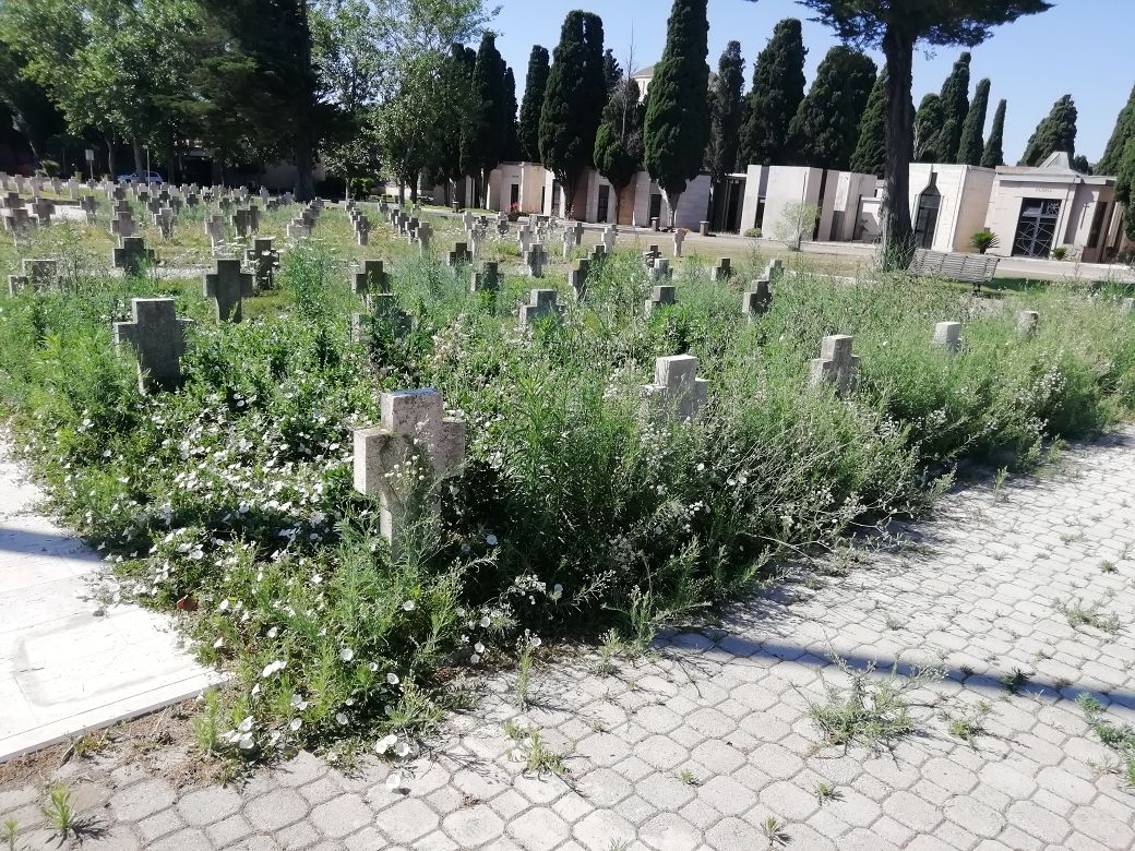 “A Cagliari le erbacce soffocano le tombe dei caduti italiani a San Michele, questo è il rispetto per i nostri eroi?”