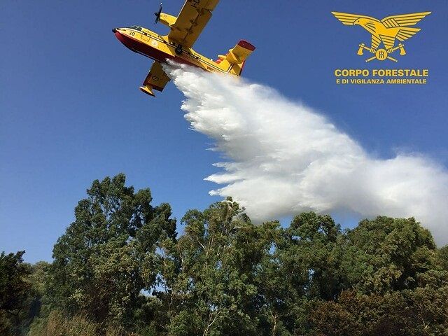 Sardegna, cinque vasti incendi in corso: il forte vento alimenta le fiamme