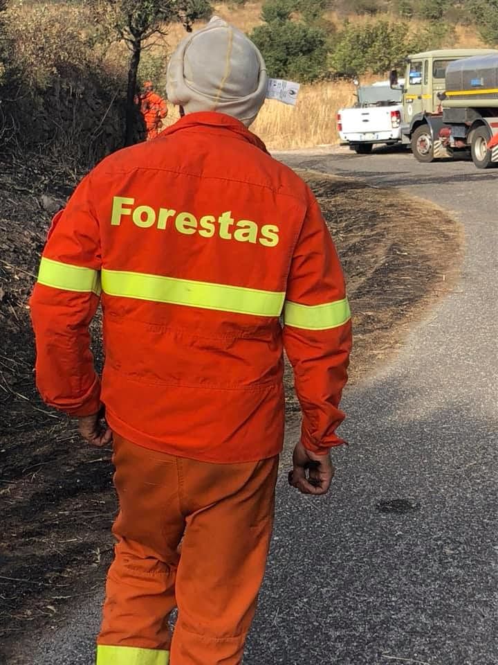 Incendi in Sardegna,”fatalità? sfortuna? No, questa è una guerra e c’è chi è pronto a morire per salvare la terra”