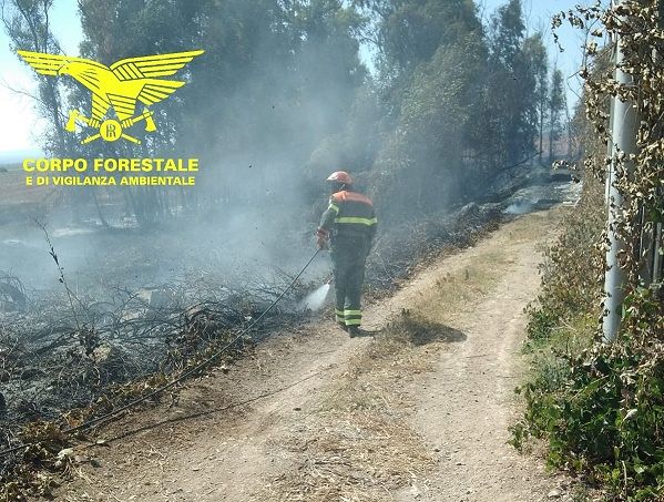 Fiamme nelle campagne di Teulada, in corso un intervento dell’elicottero dei forestali