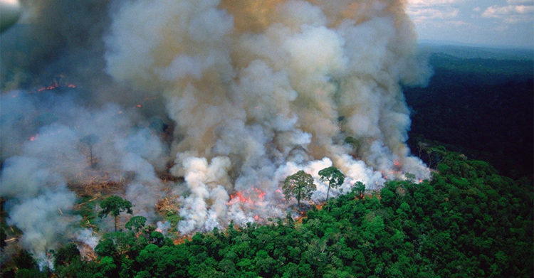 Amazzonia, il polmone del Pianeta continua a bruciare: a rischio il 20% dell’ossigeno