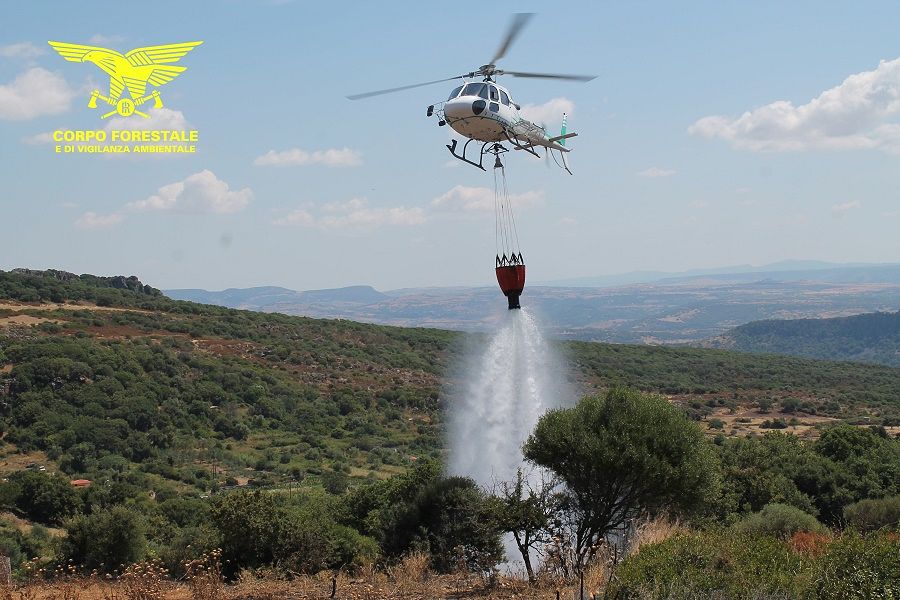 Nuoro, le fiamme si riaccendono dopo due giorni: intervento dei forestali in corso