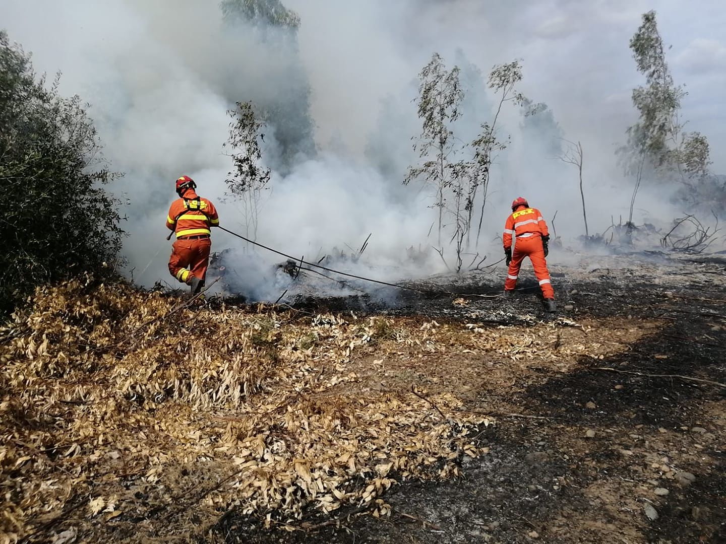 Fiamme a Quartucciu a San Gaetano, un’ora di super lavoro per i volontari