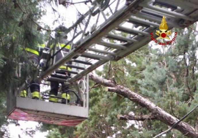 Maltempo, forti raffiche di vento su Cagliari e hinterland: cadono pali e rami, la cronaca delle emergenze